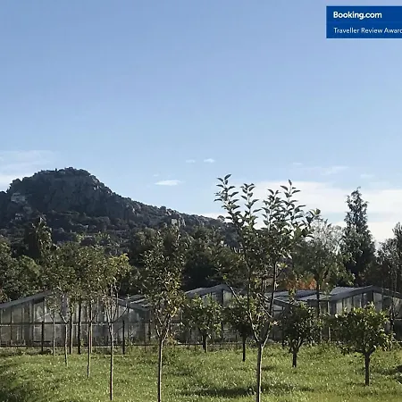 Apartment O Garden 3 Pieces Au Calme, Cuisine Equipee, Piscine, Parking, Terrasse, Jardin Hyeres